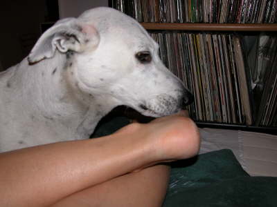 Afrika2003_0507_215558AA